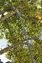 4078500873703_1.webp