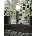 7391482043375_1.webp