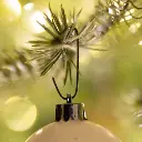 8711277400050_1.webp
