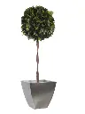 209309_1.webp