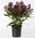 240644_1.webp