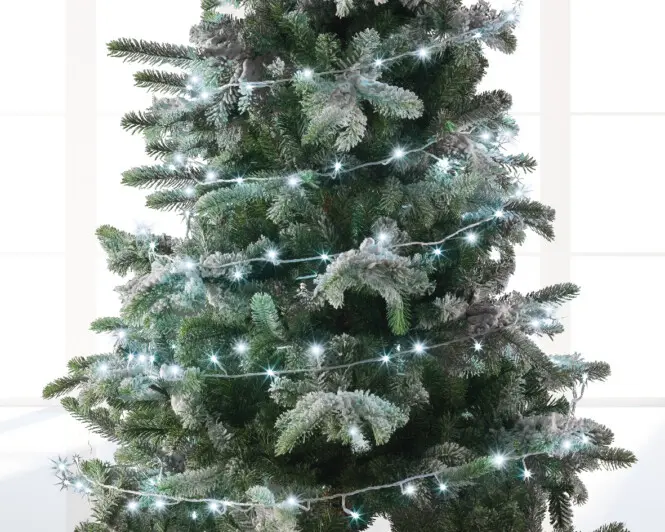 8711277057414_2.webp