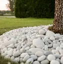 6433000355469_1.webp