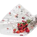 80131708475372.webp