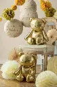 59045550863402.webp