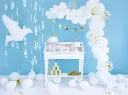 59007791319967.webp