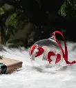 64161149726924.webp