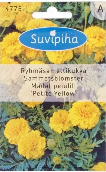 Peiulill madal 'Petite Yellow' 1 g