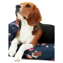 Pesa koerale Joules Bircham Bloom S