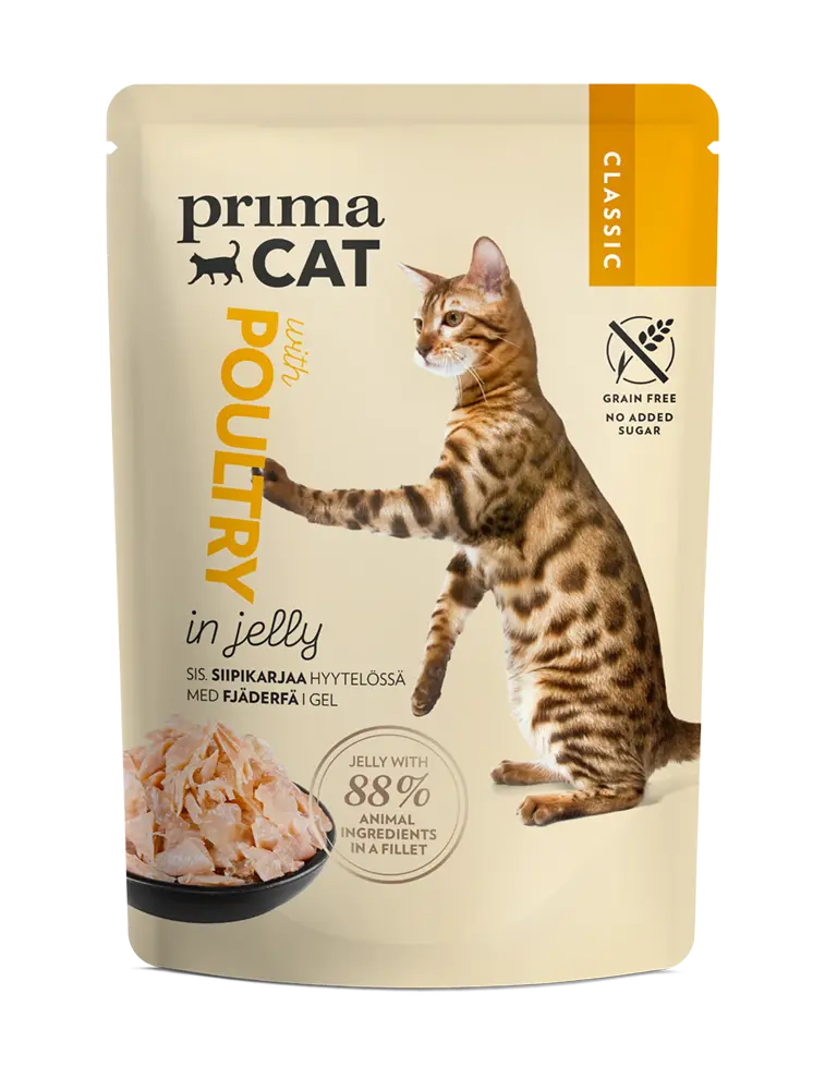 PrimaCat Poultry in jelly 85g