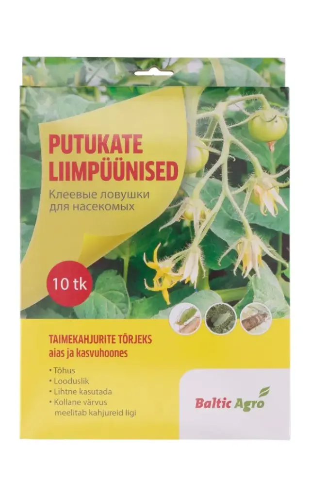 Putukate liimpüünis kollane 10tk