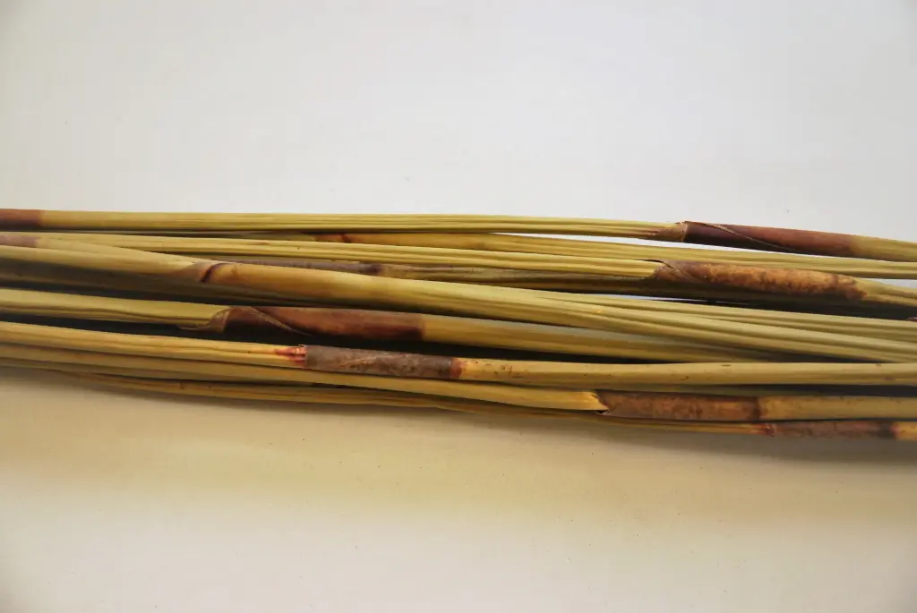 Reed oksad naturaalne 90cm