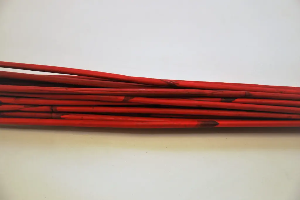 Reed oksad punane 90cm