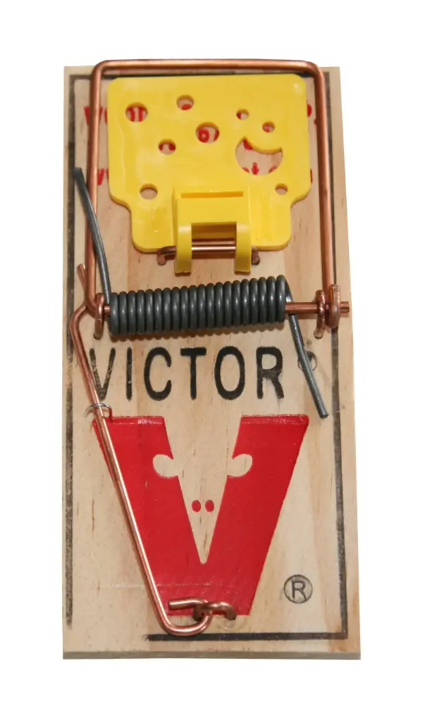 Rotilõks Victor