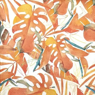 Salvrätikud All About Orange 33x