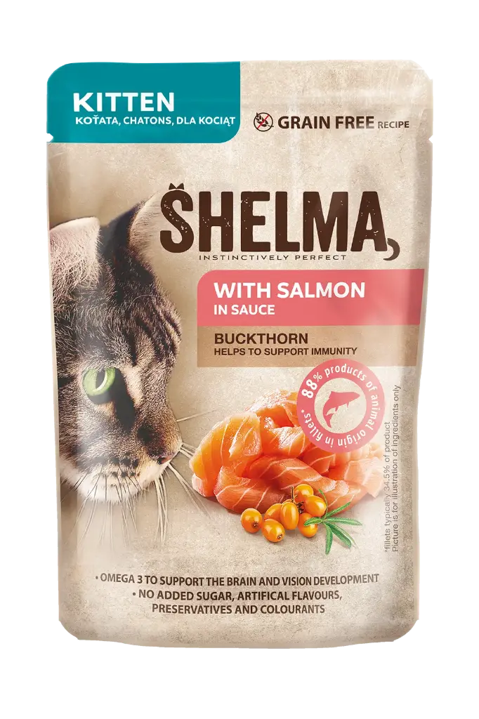 Shelma Kitten lõhe/astelpaju kastmes 85g