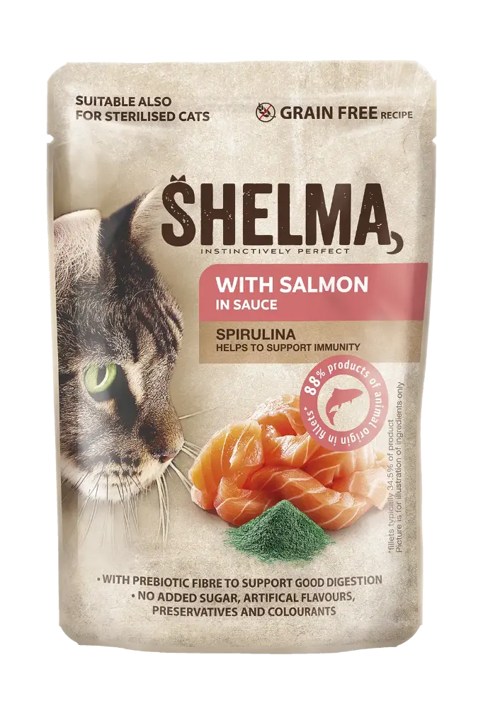 Shelma lõhefilee/spirulinakastmes 85g