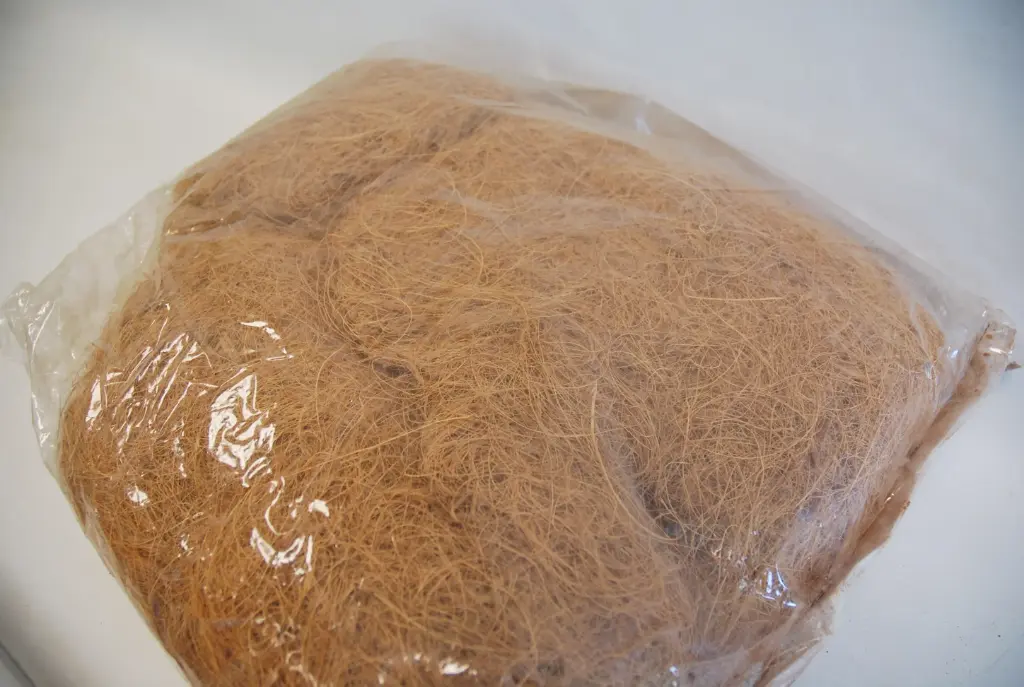Sisal pakis helepruun