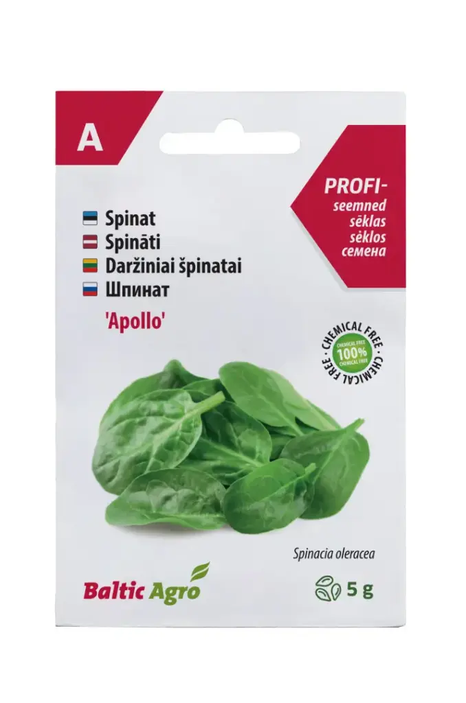 Spinat 'Apollo' 5 g