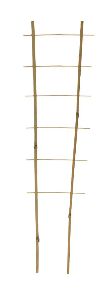 Taimeredel bambus 2 haru 150cm