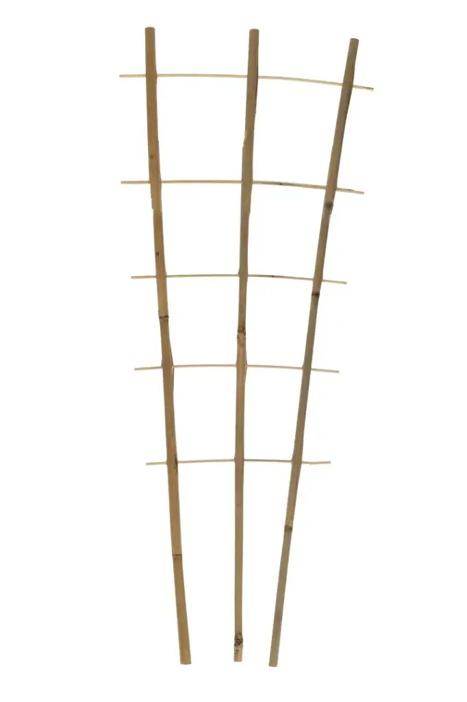 Taimeredel bambus 3 haru 180cm