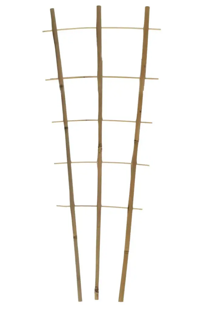 Taimeredel bambus 3 haru 240cm