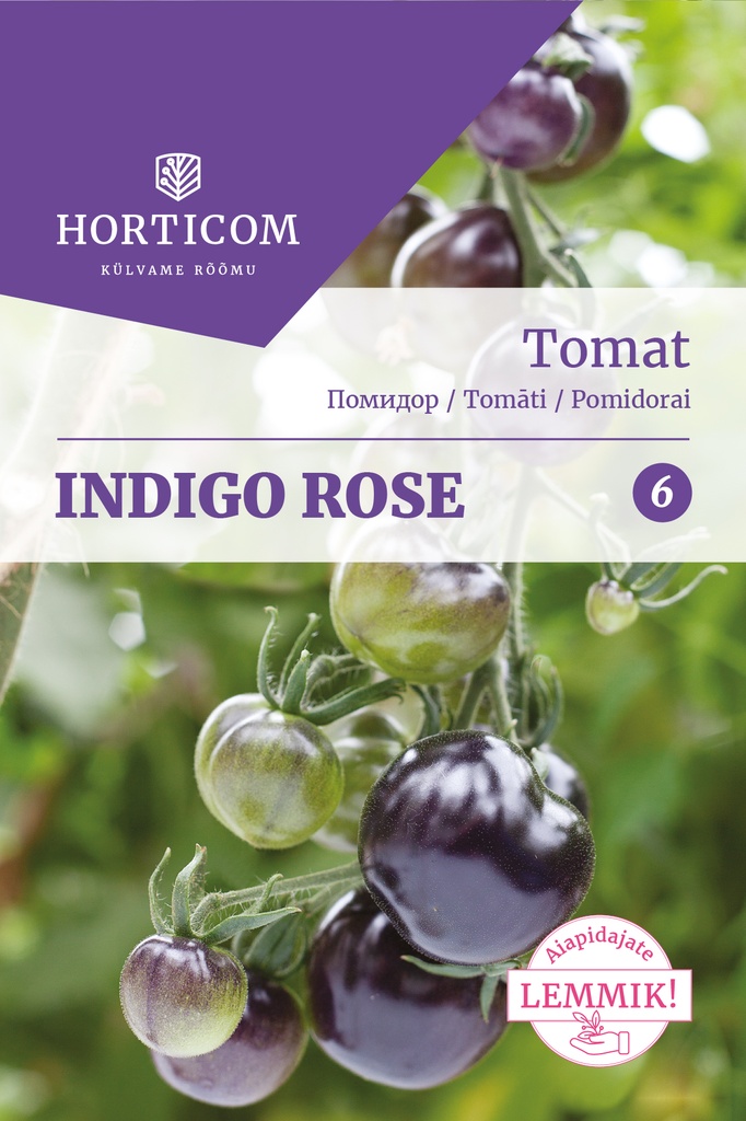 Tomat 'Indigo Rose' 25s