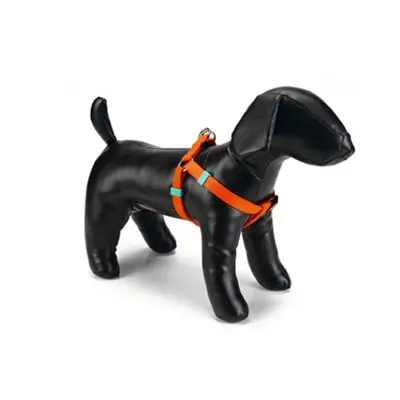 Traksid Uni oranž 60-100cm