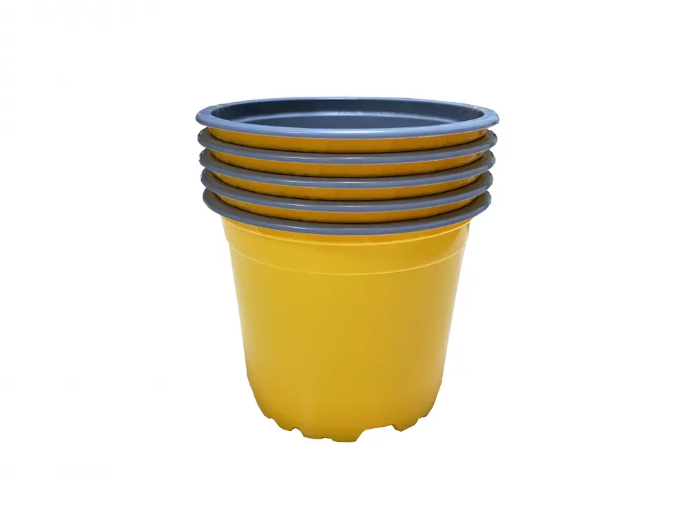 Ümarpott h7,9cm d10,5cm kollane 5tk