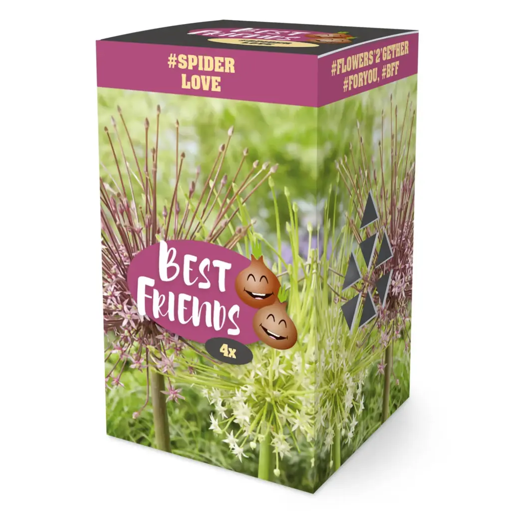 Best Friends Box 'Spider Love' mix 4tk