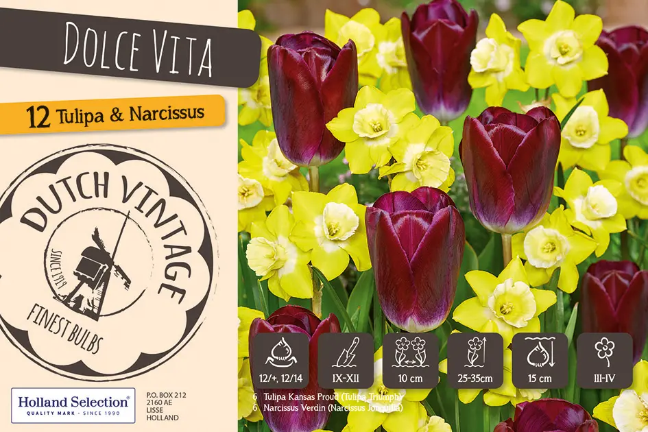 Dolce Vita' mix 10tk
