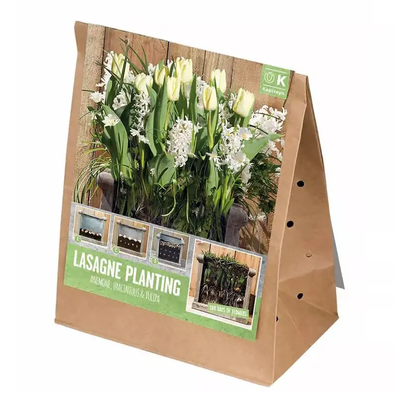 LASAGNE PLANTING WHITE' 40tk