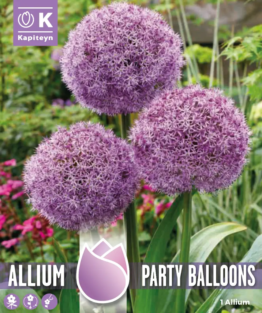 Lauk 'PARTY BALLOONS' 1tk 18/+