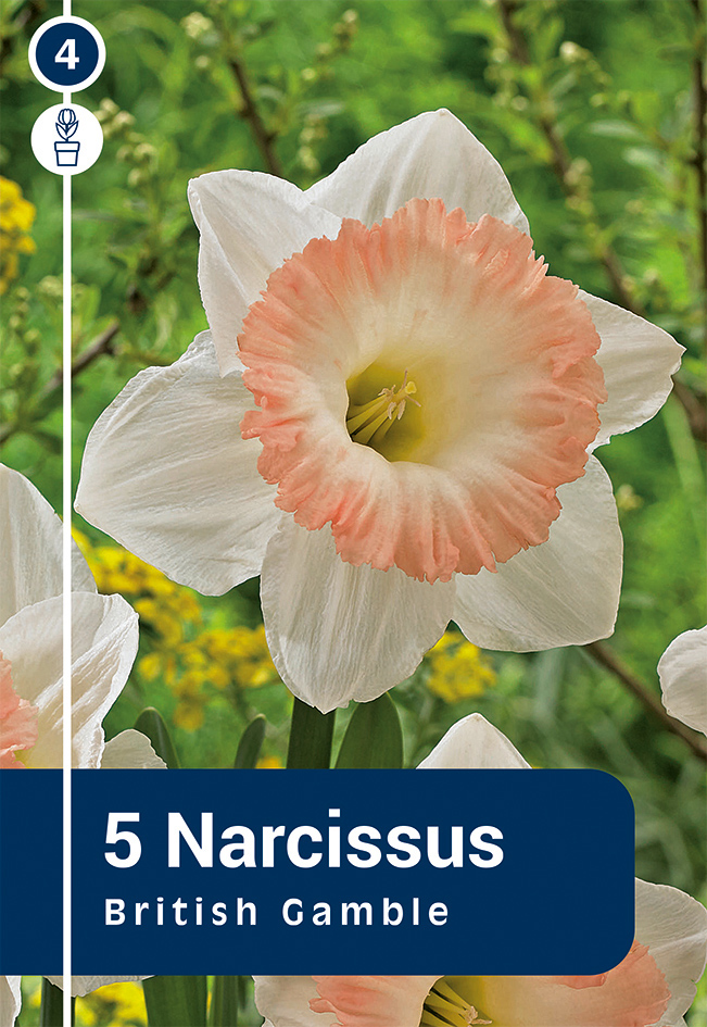 Nartsiss 'British Gamble' 5tk 12/14