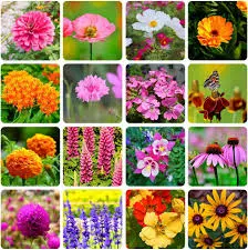 Püsilille mix