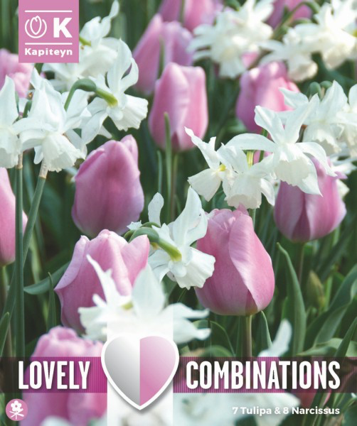 Tulp ja nartsiss 'Combipack pink & white' 15tk 11/12