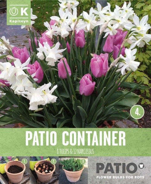 Tulp ja nartsiss 'Patio Container pink & white' 15tk 12/+
