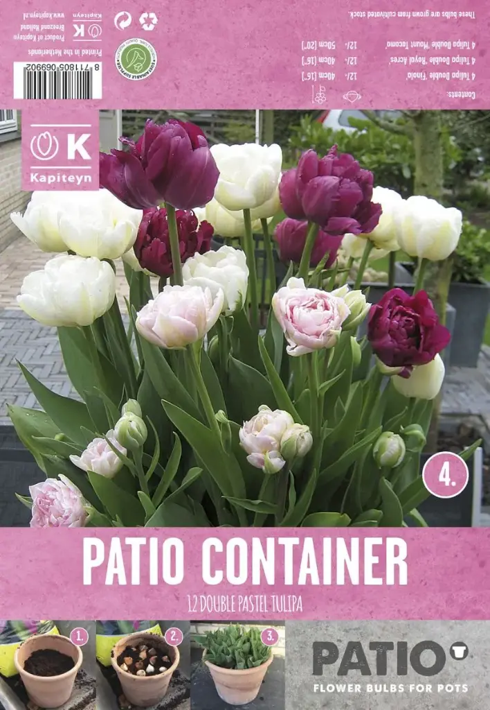 Tulp 'PATIO CONTAINER PINK, PURPLE & WHITE'  12tk 12/+