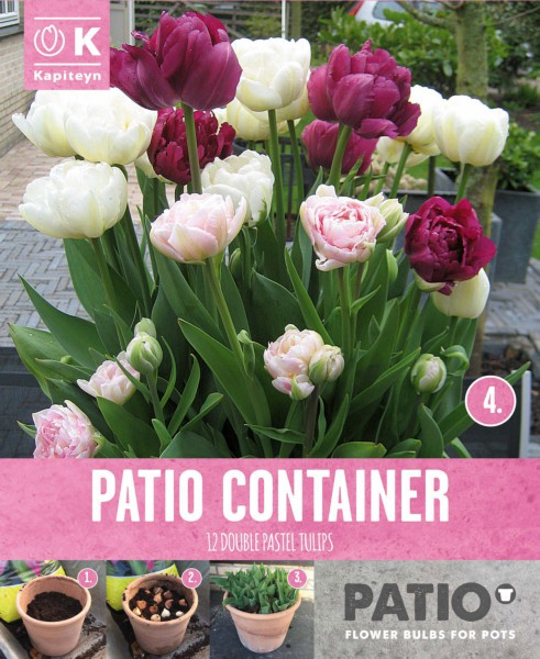 Tulp 'Patio Container pink, purple & white' 12tk 12/+