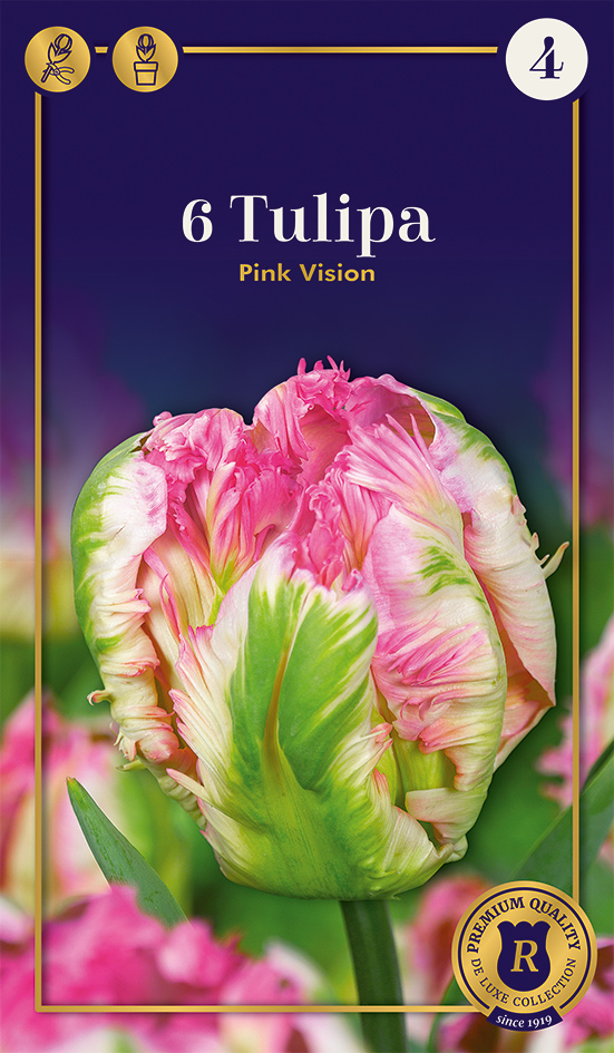 Tulp 'Pink Vision' 6tk 12/+