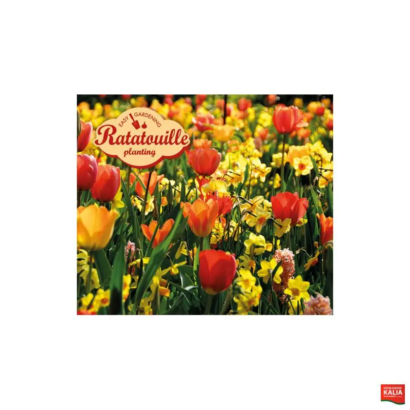 Ratatouille, Yellow & Orange Tones mix 24tk 