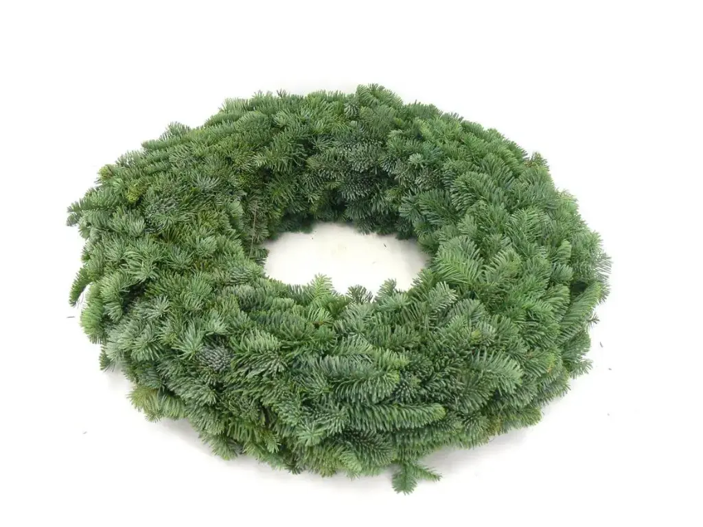 Nulupärg mix 27cm