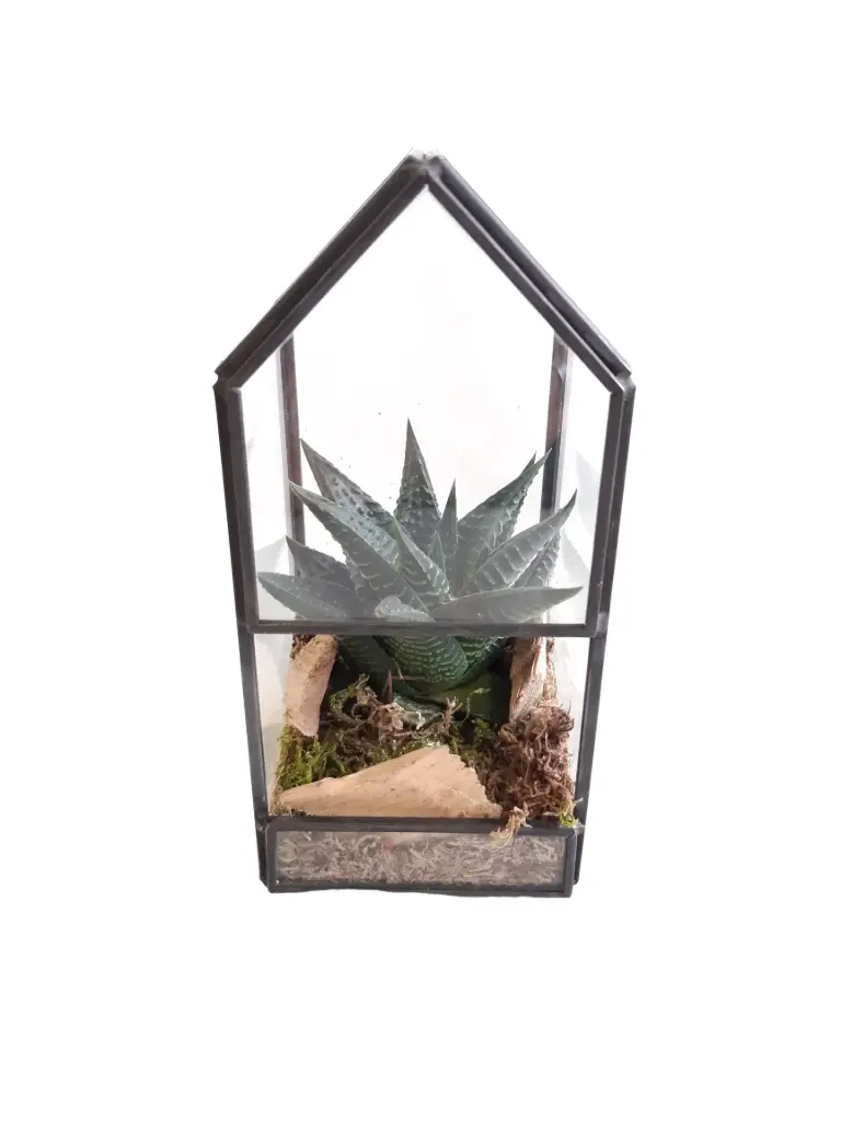 Seade mini kasvuhoones CHR 8*16cm