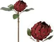 Kunstlill protea bordoo 60cm