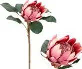 Kunstlill protea pink 63cm
