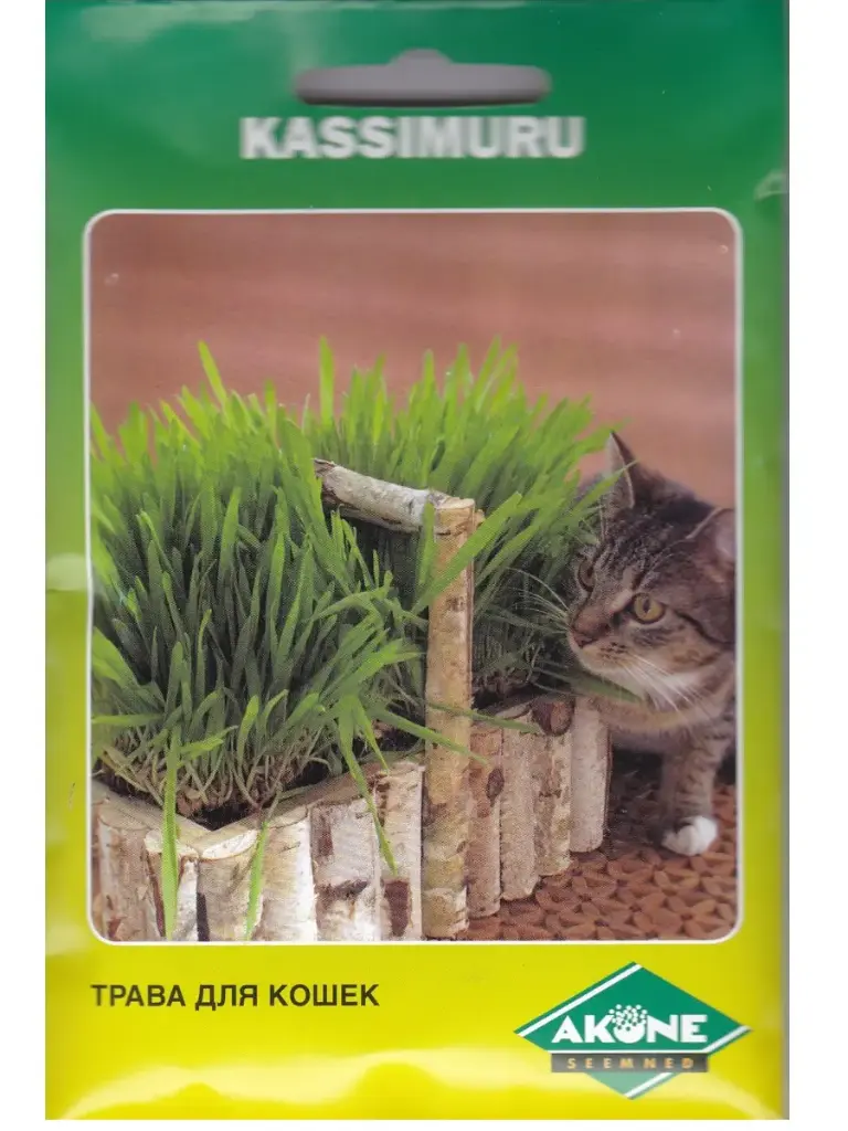 Kassimuru (oder 'Maali') 50g