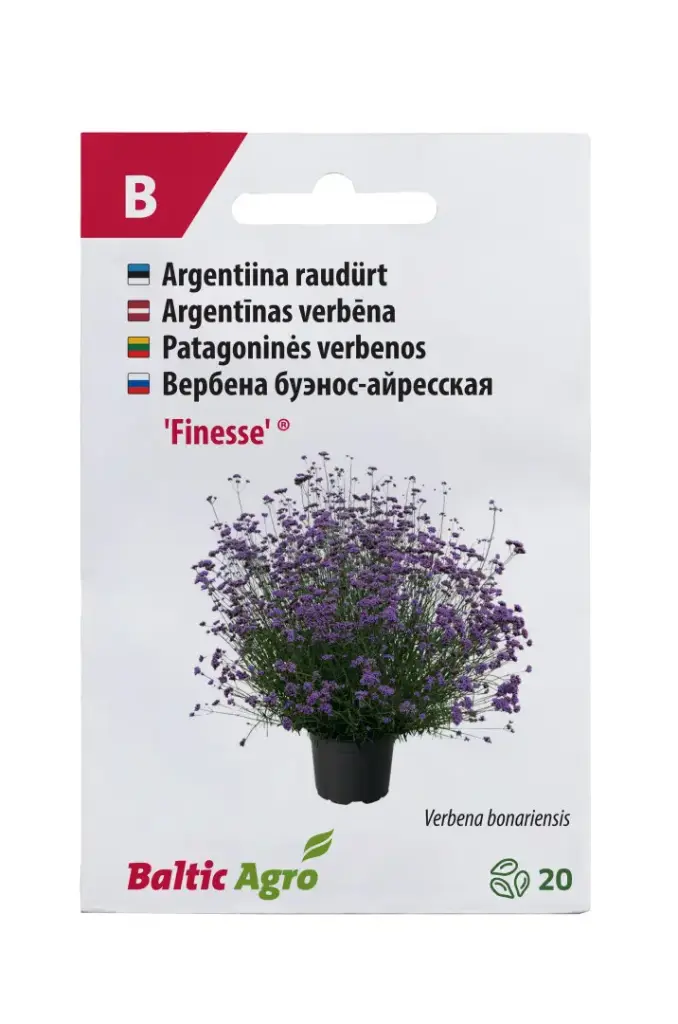 Argentiina raudürt 'Finesse'®   