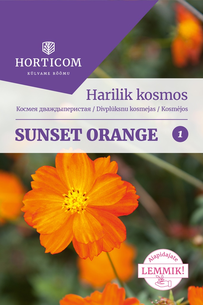 Harilik kosmos Sunset Orange 1g