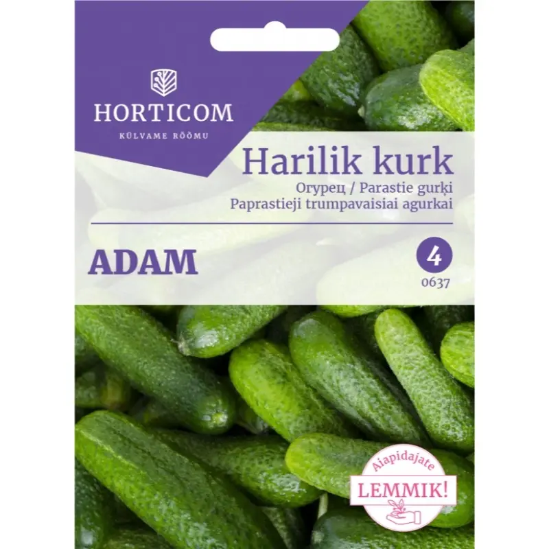 Harilik kurk Adam F1 15s