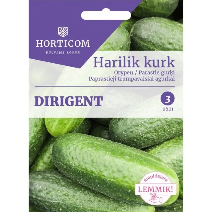 Harilik kurk Dirigent F1 15s